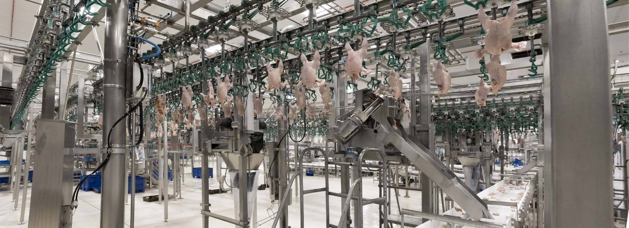 Productielijn met voedselverwerkingsmachines