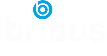 Bribus